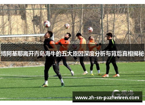 博阿基耶离开青岛海牛的五大原因深度分析与背后真相揭秘