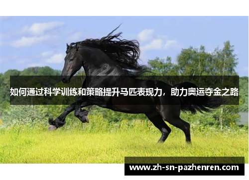如何通过科学训练和策略提升马匹表现力，助力奥运夺金之路