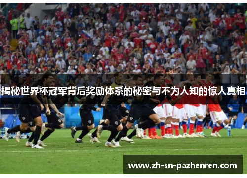 揭秘世界杯冠军背后奖励体系的秘密与不为人知的惊人真相