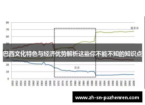 巴西文化特色与经济优势解析这些你不能不知的知识点