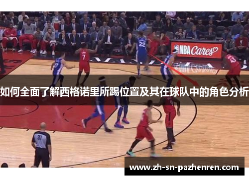如何全面了解西格诺里所踢位置及其在球队中的角色分析