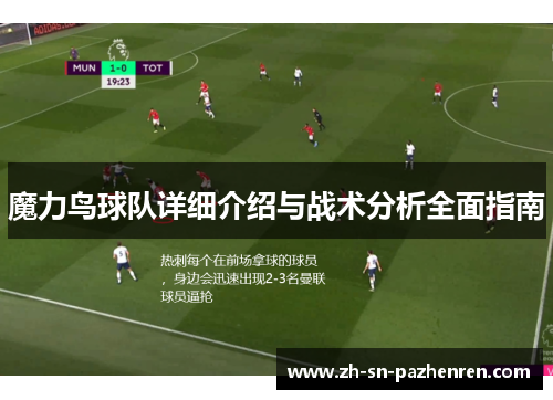 魔力鸟球队详细介绍与战术分析全面指南 魔力鸟球队详细介绍与战术分析全面指南