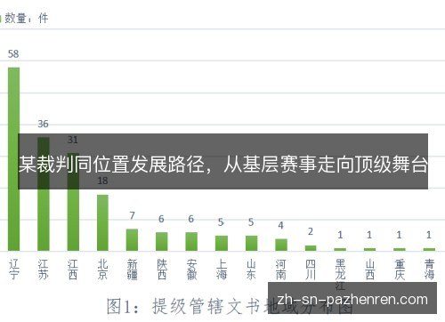某裁判同位置发展路径,从基层赛事走向顶级舞台 某裁判同位置发展路径,从基层赛事走向顶级舞台