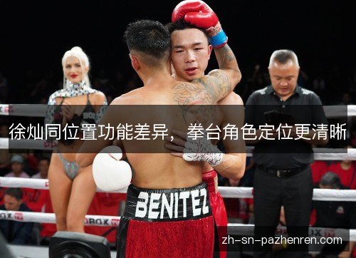 徐灿同位置功能差异,拳台角色定位更清晰 徐灿同位置功能差异,拳台角色定位更清晰